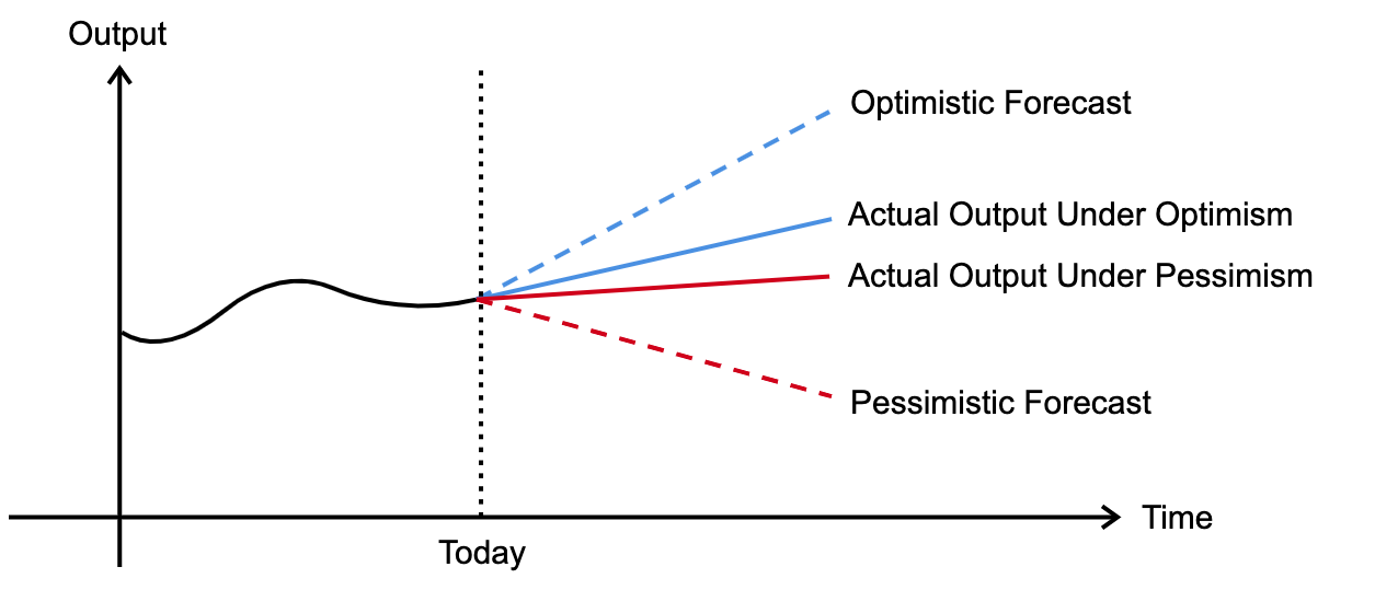 Beliefs and their Impact on the Economy